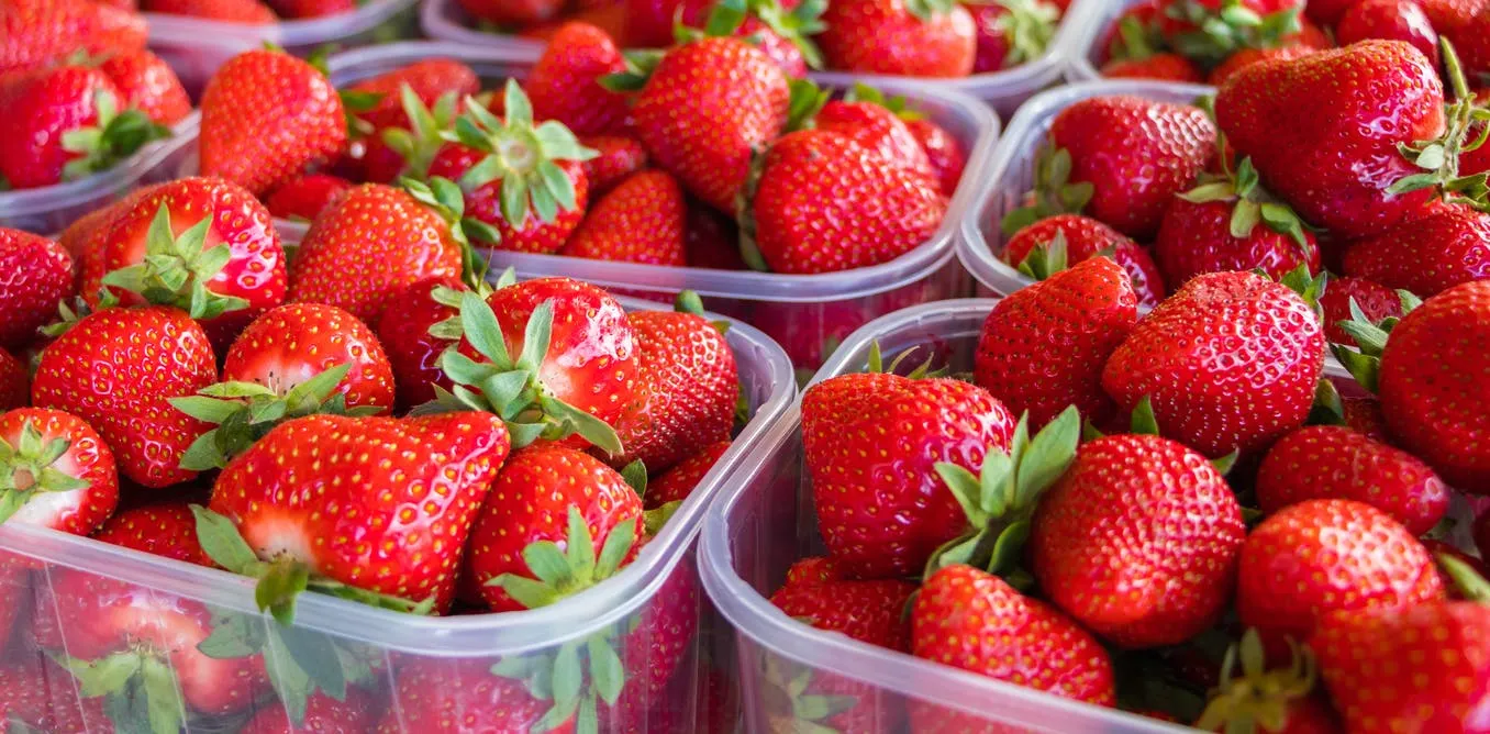 Why some plastic packaging is necessary to prevent food waste