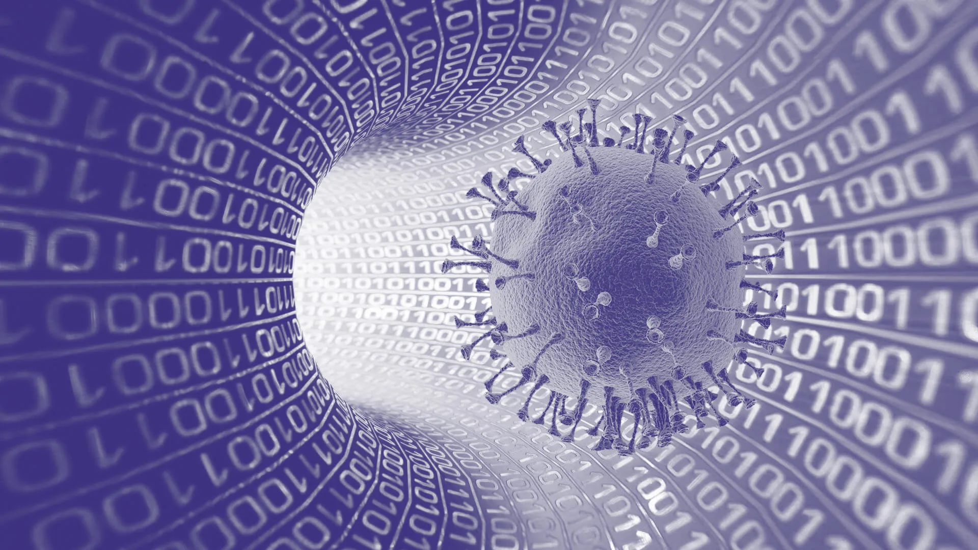 COVID-19 is a virus, corona is a meme