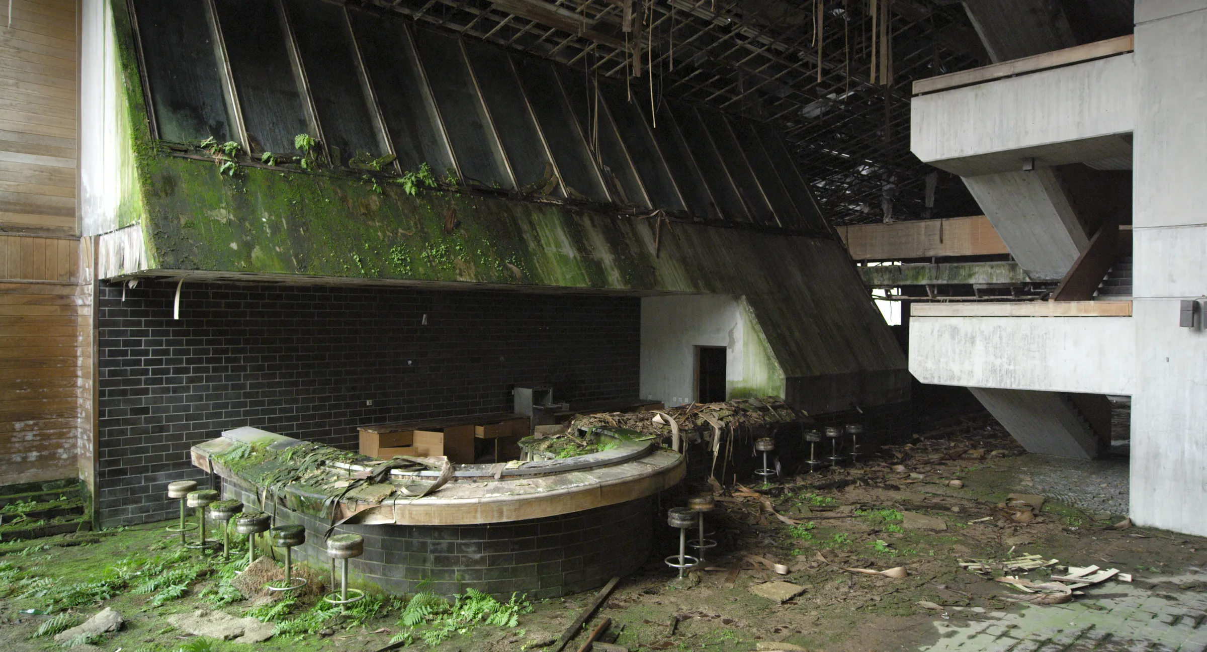 Explore the future of nature at IDFA Festival