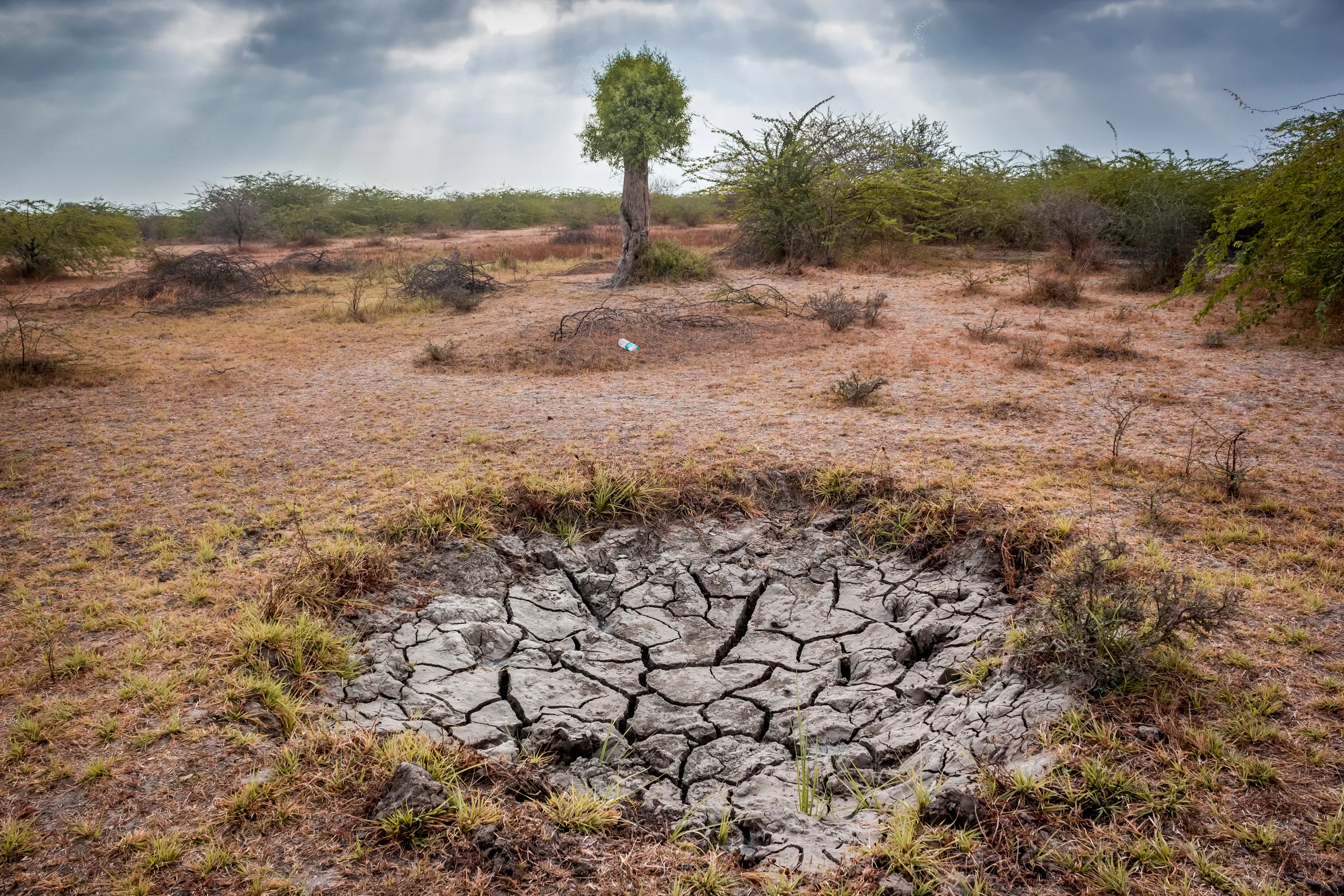 5 unusual technologies for harvesting water in dry areas