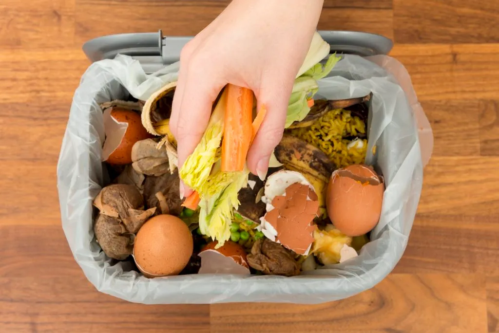 We could power households from the scraps in our food waste bins