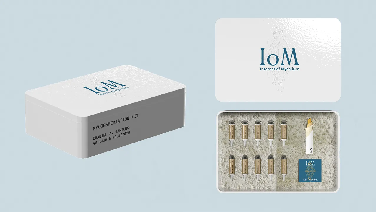 The Internet of Mycelium
