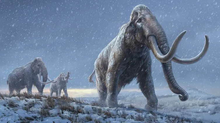 We sequenced DNA from a million-year old mammoths