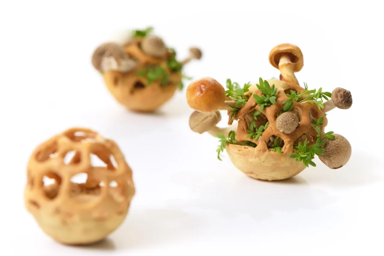 Chloé Rutzerveld designs the food of tomorrow