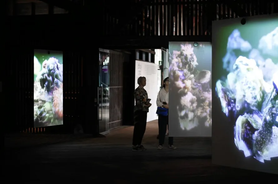 FIBER Festival 2022: an exploration towards an alternative future