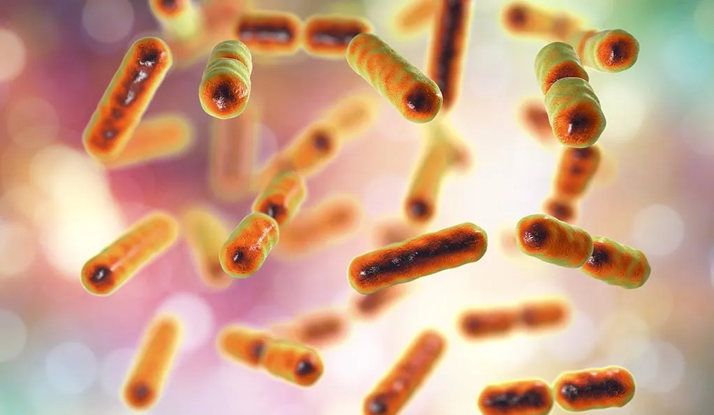 Personalise your gut health with Microbiota To Go