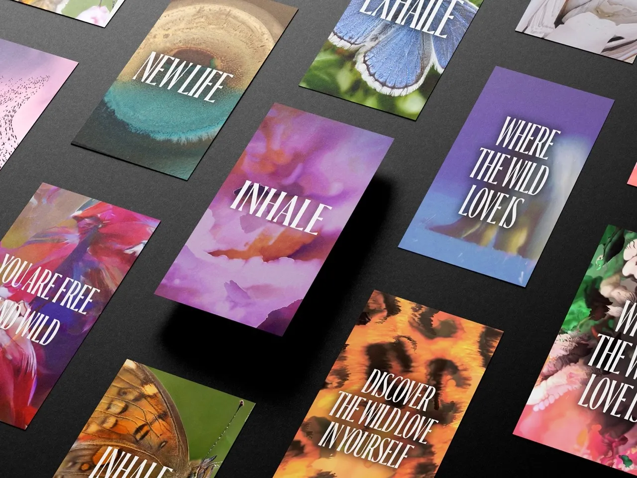 Reconnecting with wildlife through biodiverse meditations