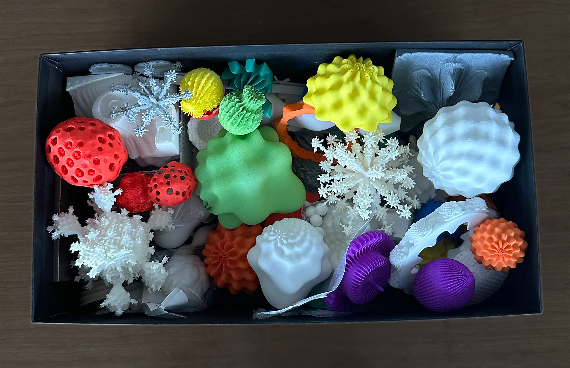 A shoebox of fractal flowers