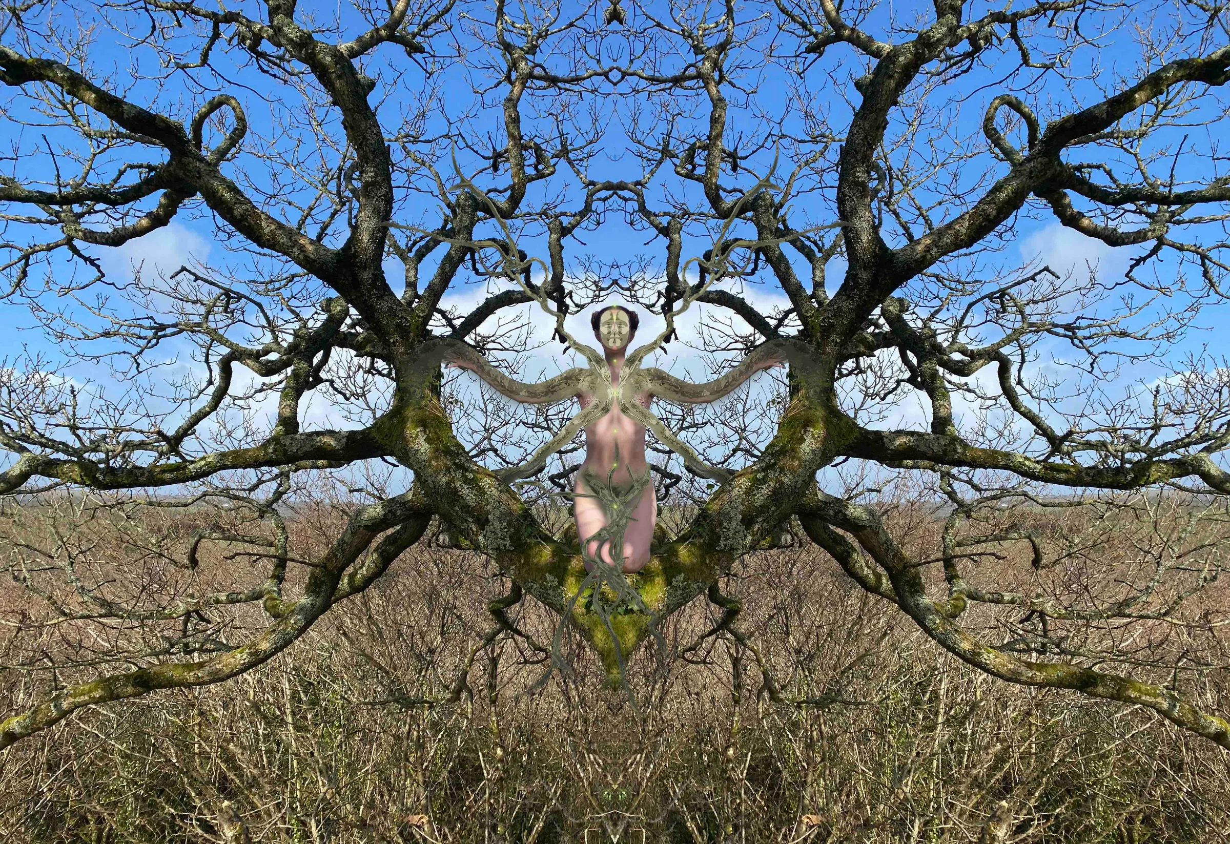 Next Gen: Digitizing wilderness with Freyja Sewell