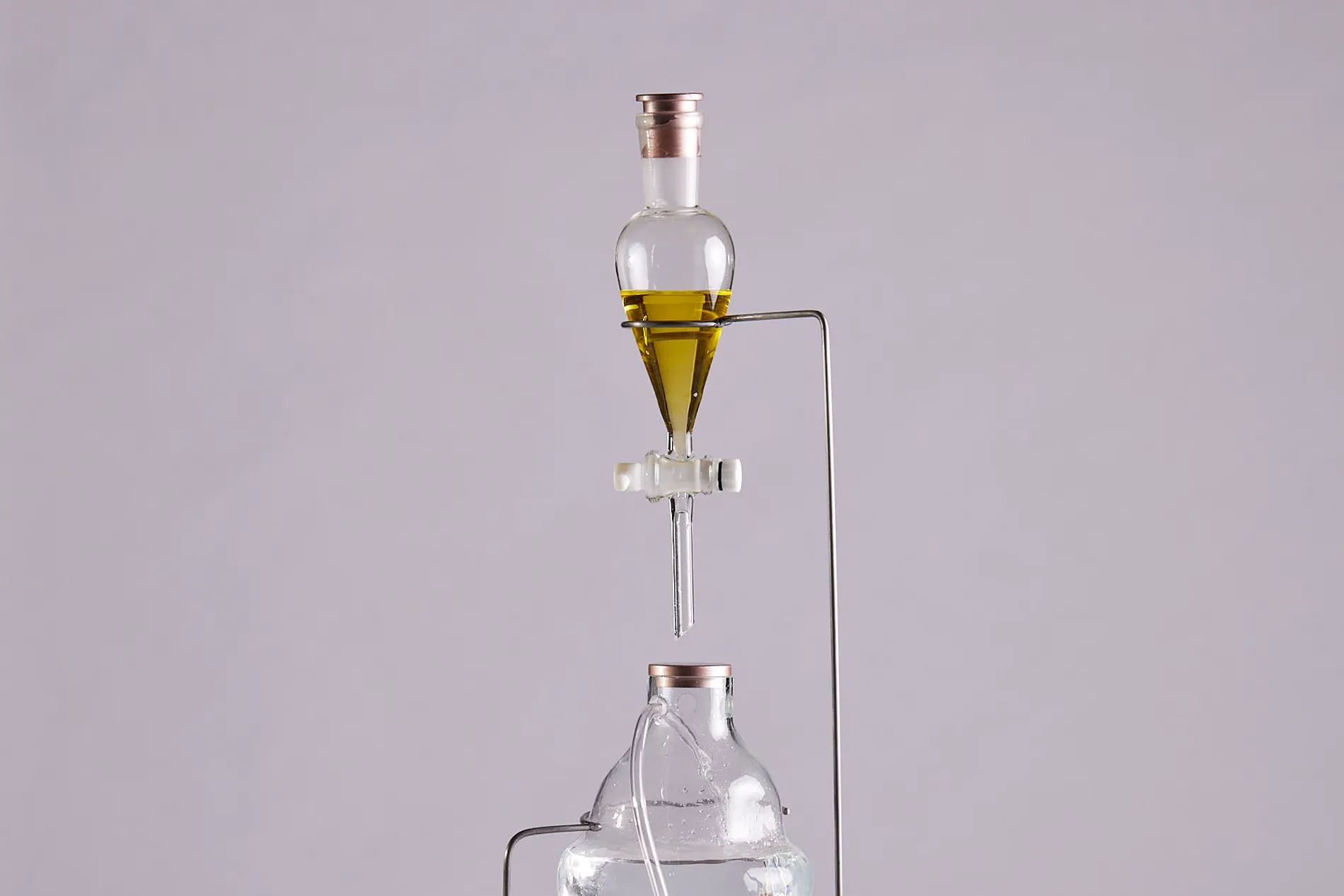 Next Gen: Cleaning harmful oils with bacteria and Magali Mendez