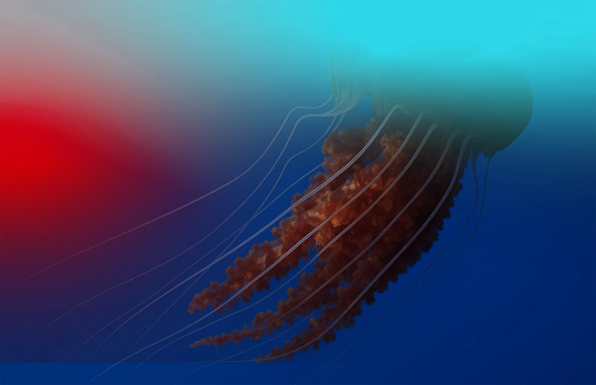 Donna Haraway: philosopher of the entangled world