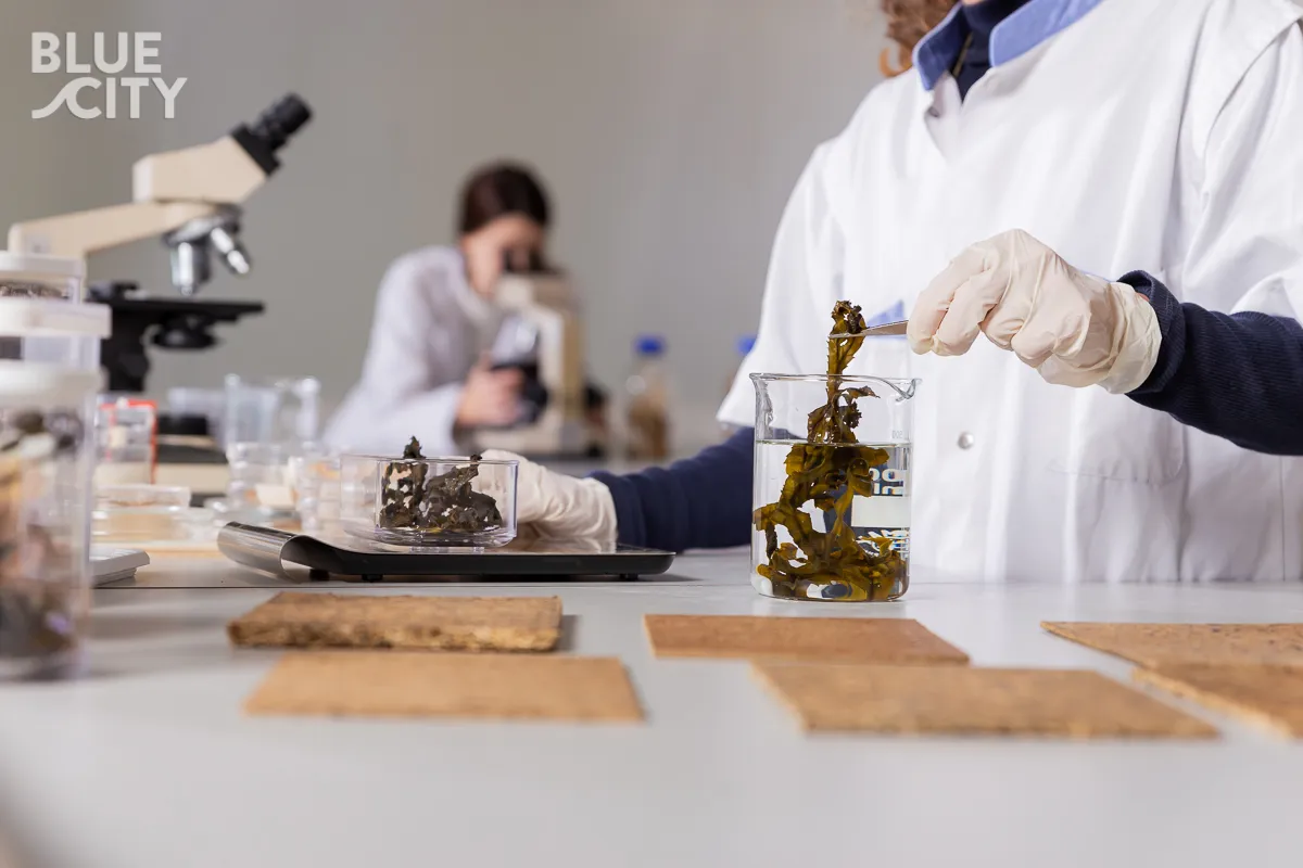 Nature as greatest designer