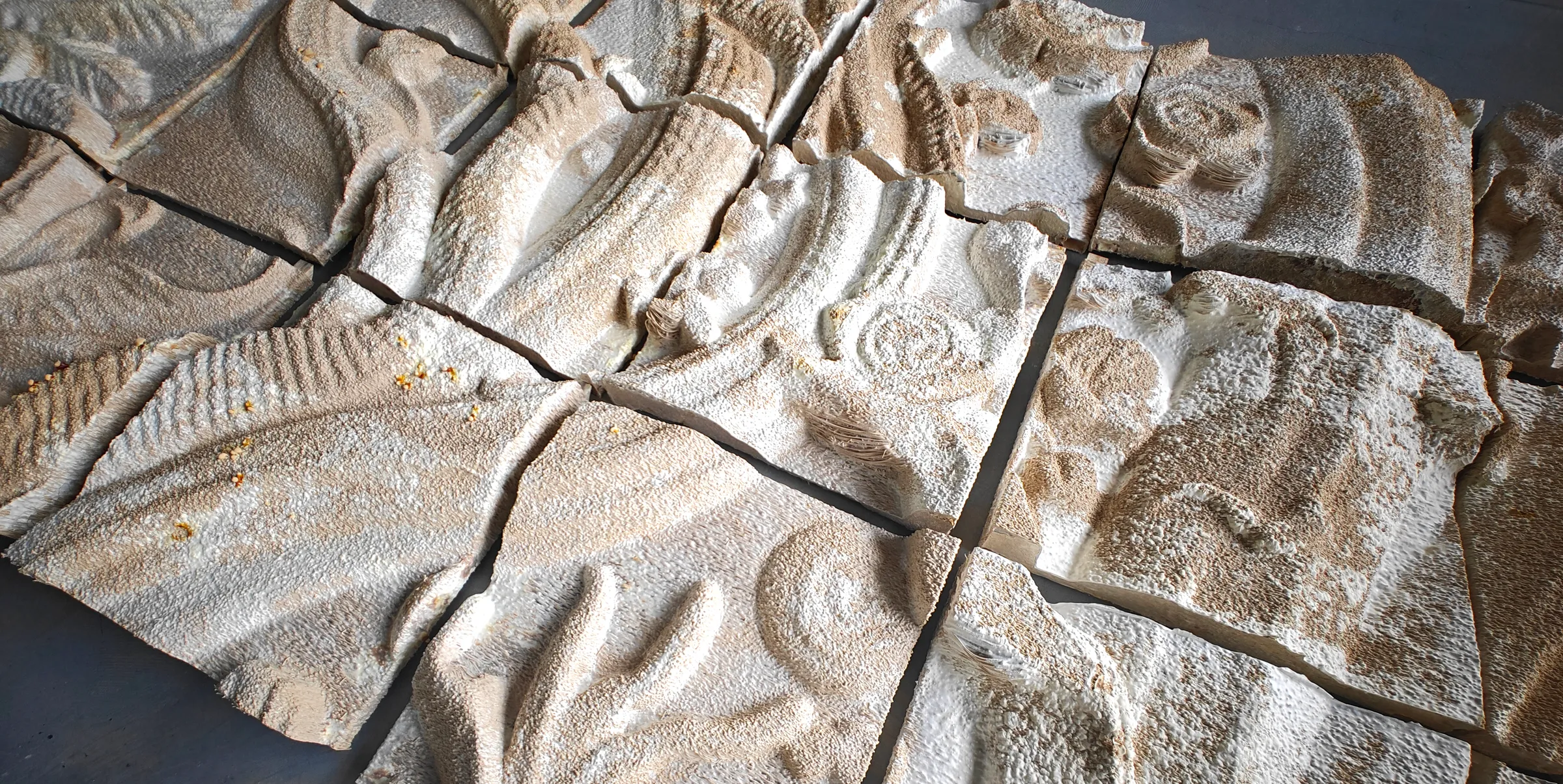 What if we no longer make buildings, but let them grow?