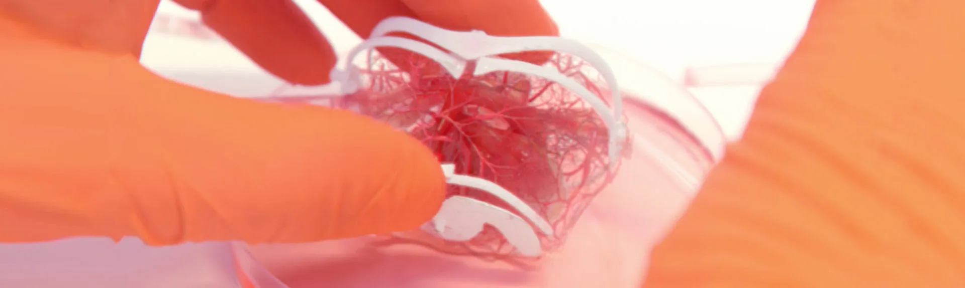 mission/projects/the-modular-body